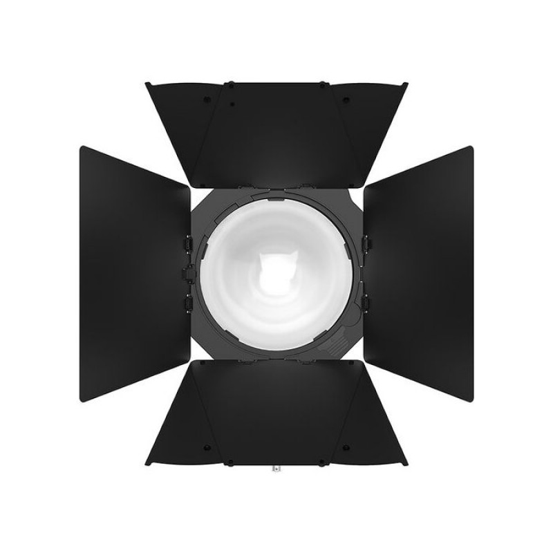 Aputure CF12 Barn doors