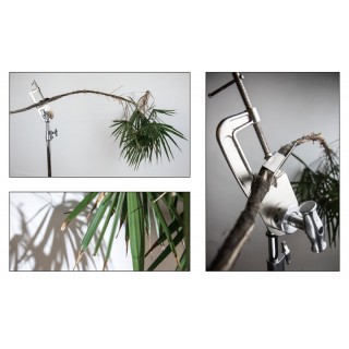Kupo KCP-117 / 4" C-CLAMP with TREE BRANCH HOLDER Kupo KCP-117 / 4" C-CLAMP with TREE BRANCH HOLDER