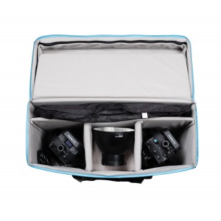 Nanlite FS-150B 2KIT with light stand