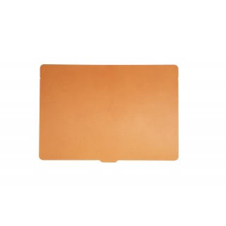 Nanlite 1200SA daylight LED panel