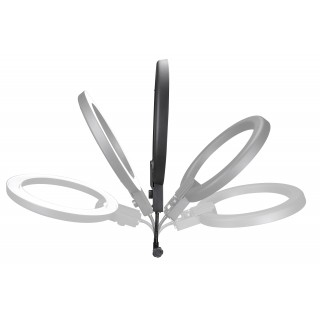 Nanlite Halo Daylight 19" LED Ring Light Nanlite Halo Daylight 19" LED Ring Light