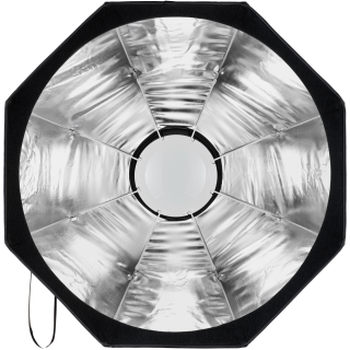 Profoto Beauty Dish Silver Profoto Beauty Dish Silver